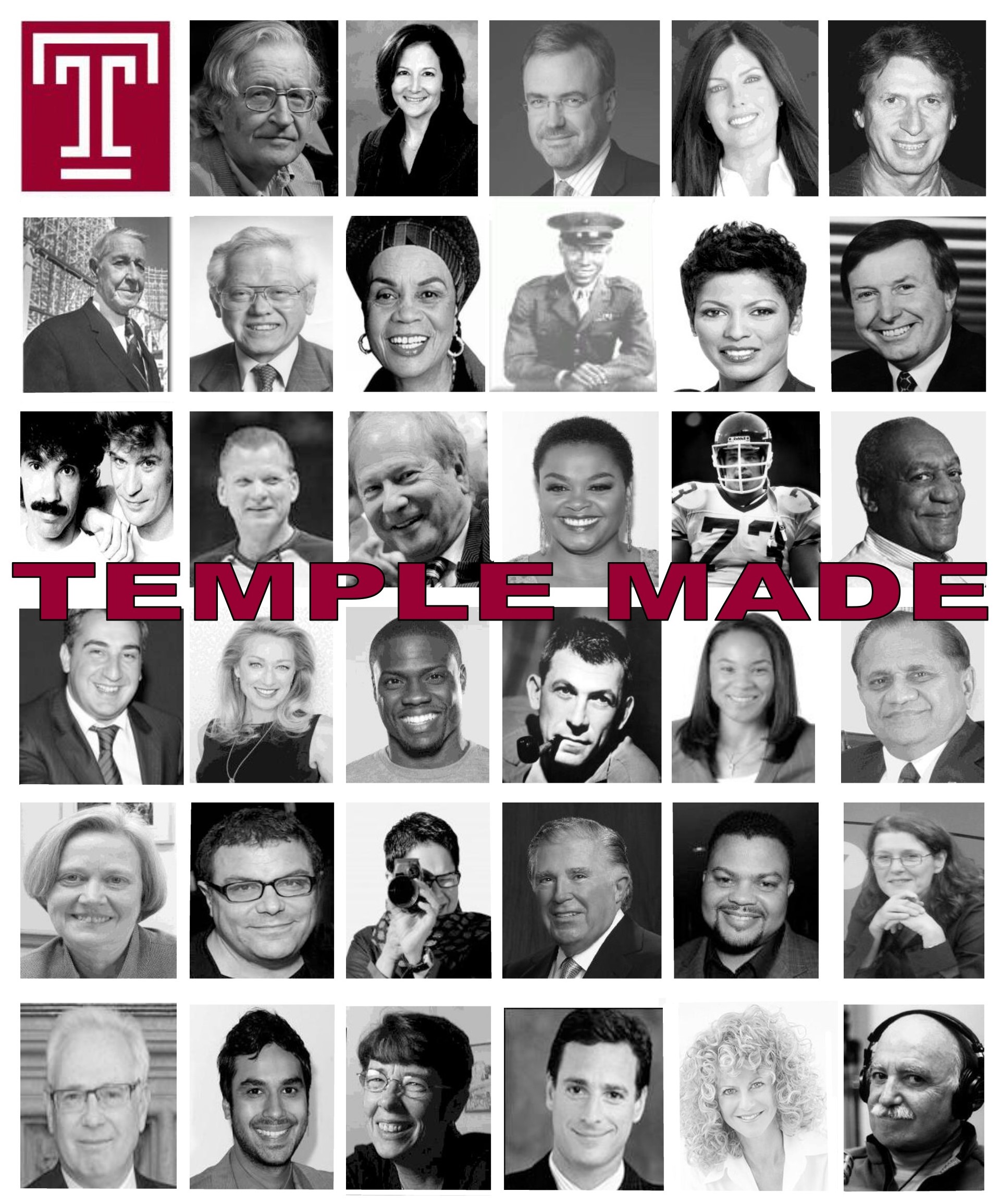 Temple Made book